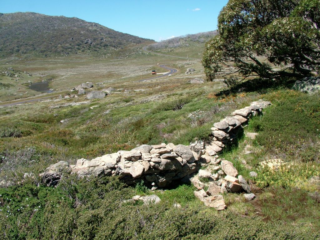 Old Dam above Betts Camp